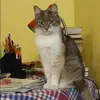 Отзыв от Лада Шаповалова